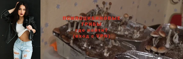 СК Покров