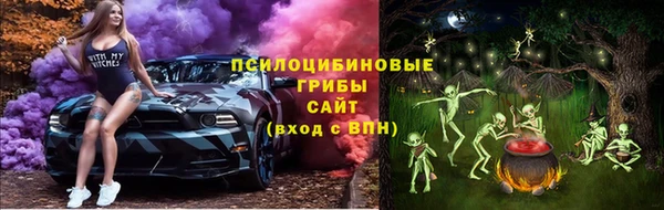 СК Покров